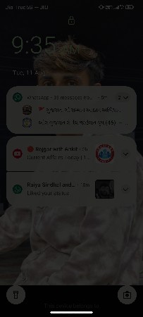 આ ગાય વેસવાની છે