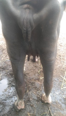 વેચવાની છે