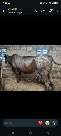 s.h. વેચવાની છે