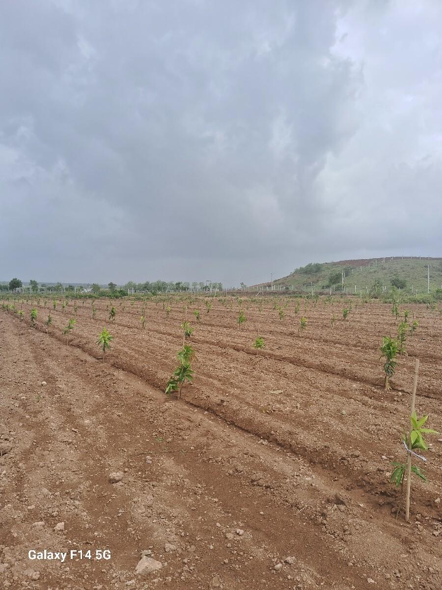 જમીન વેચવાની છે