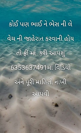 પશુ જાહેરાત માટે