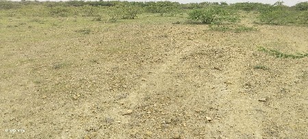 ખતી ની જમીન વેચવાની છે