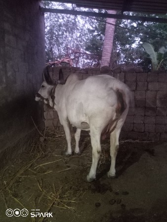 વેચવાનુછે
