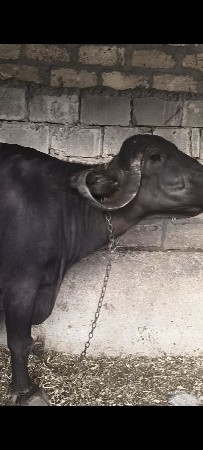 મો.8469891568