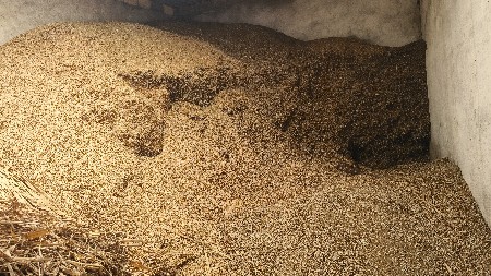 જુવાર વેચવાની છે