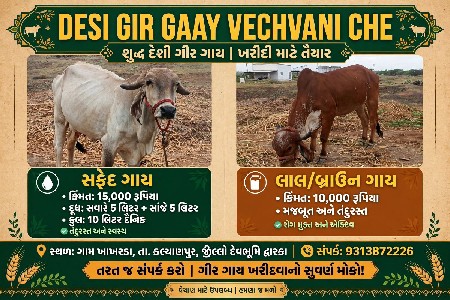 વેચવાની છે