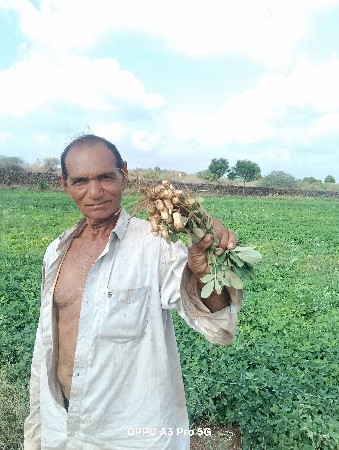 માંડવી