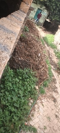 સાણીયુ ખાતર વેસવાનુ છે