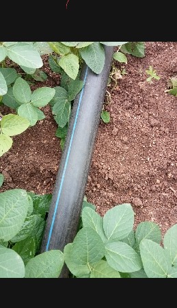 2.5bmbo vesvano se