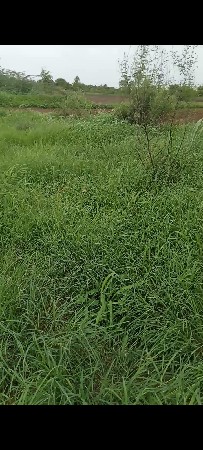 45 લાખ ઊધડા મા