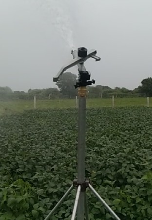 રેન‌ ગન વેચવાની છે