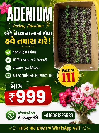 વેસવના