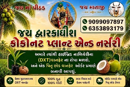 D×T વાનફેર નારિયેલી