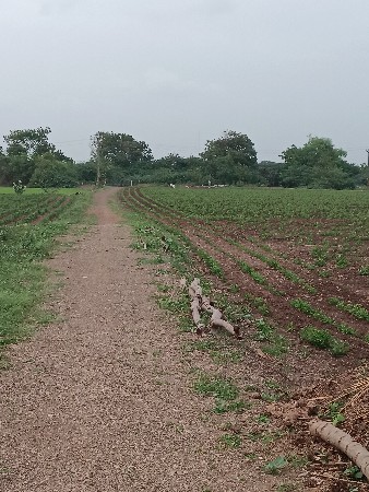 🌾 જમીન વેચવાની છે