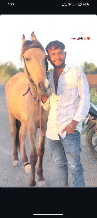 ghodo se