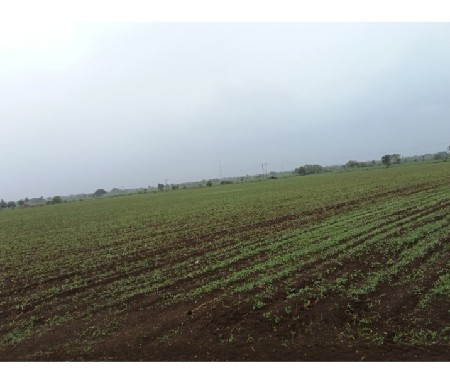 આ જમીન વેચવાની છે