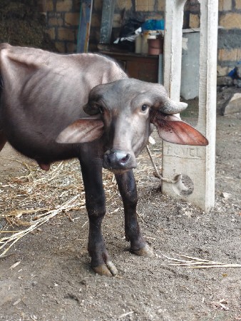 અઢાર મહીના થયા છે