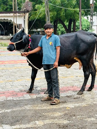 જશી