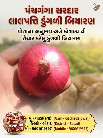 ડૂંગળી બિયારણ