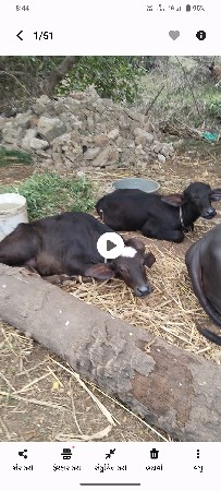 વેચવાની છે