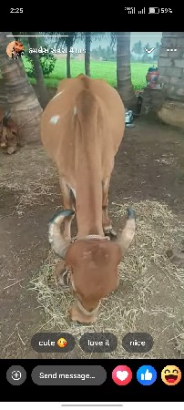4/5 વેતર ni સે
