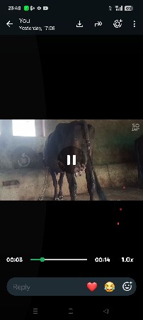 Bachu nathi