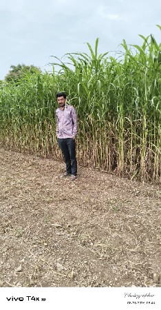 કાળી વાઢ વાડી જુવાર વેચવાની છે