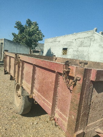 toli vechvani chhe