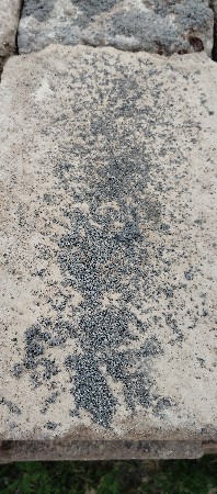 બેલા વેચવાના છે