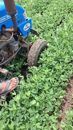 વેચાણ