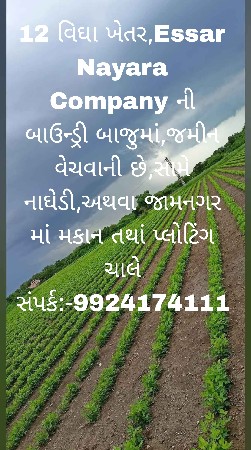 12 વિઘા ખેતર, Essar Nayara Company