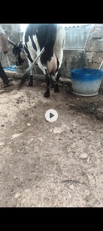 પોરબંદર