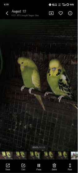 સો બજરી ના મેલ વેચવાના છે