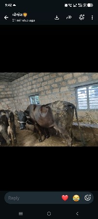 s.h. વેચવાની છે