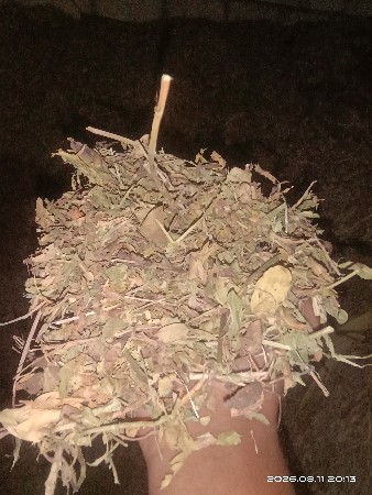 ભુકો