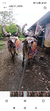 વેચવાના છે