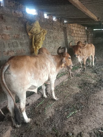 badh vachvana che