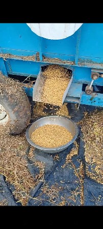 ગીતા ફેસર 2,5