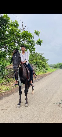 વેચવાનો છે ને સાટો કરવાનું એ