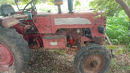 વેચાવા નૃ છૅ