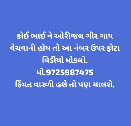 દુધણી ગીર ગાય લેવાની છે