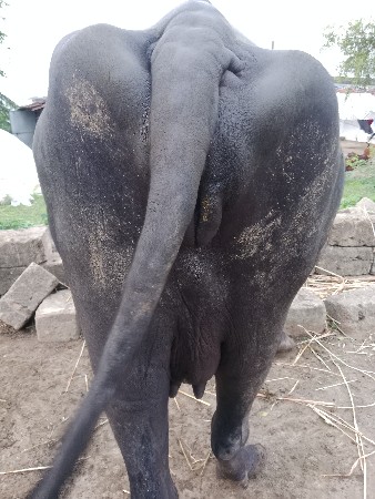 લેવા માટે જ ફોન કે મેસેજ કરવો