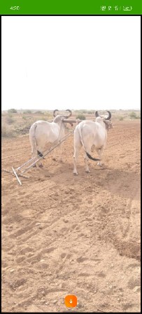વેચવાના છે