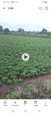 માડવી ઓરા,6,વિધા નુ,,