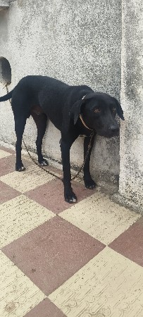 8.  મનાનોછે