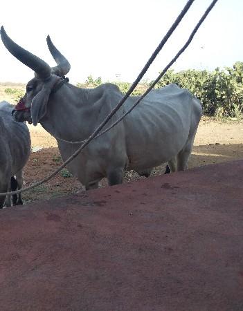 3 ધર