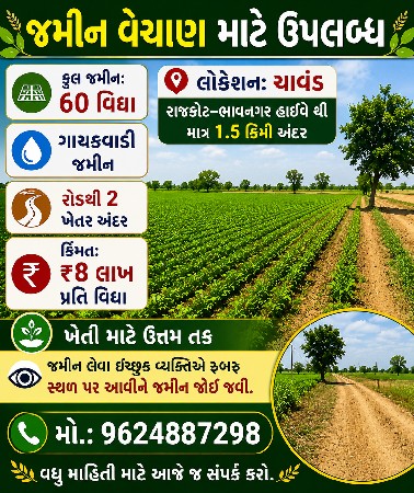 ખેતી લાઈક જમીન