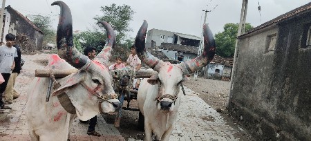 વેચવાના