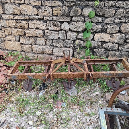 પાસિયા વેશવાના છે