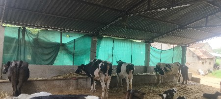 વેચવાની